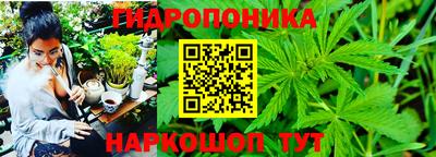 МДПВ Беслан