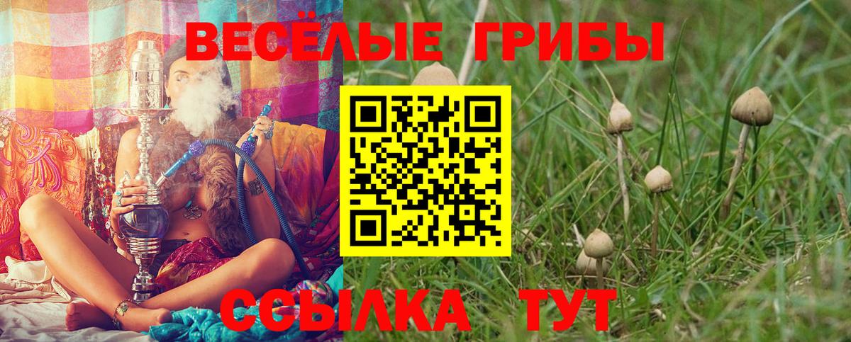 Псилоцибиновые грибы Magic Shrooms  Псилоцибиновые грибы Psilocybine cubensis  Казань  Вход с VPN 